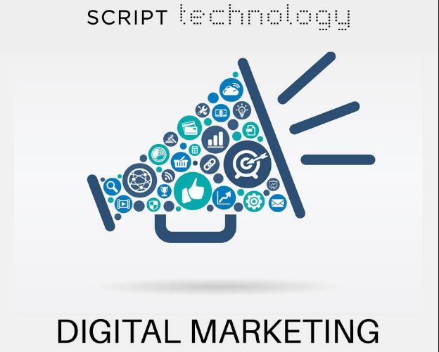 SEO Company in Noida | Script Technology